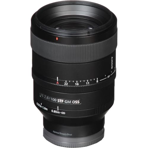 Refurbished - SONY SEL100F28GM Interchangeable Lens Camera
