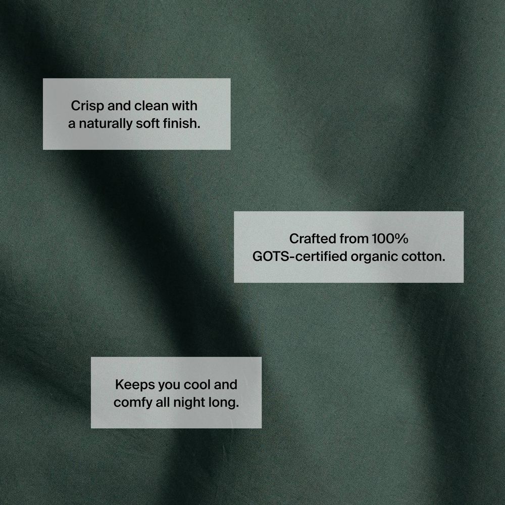 New - King/California King Casual Organic Cotton Duvet Cover Set Pine - Parachute for Target