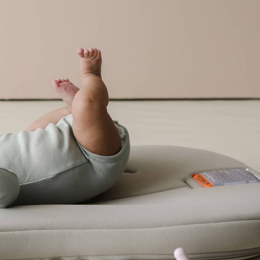 New - Snuggle Me Organic Curve Infant Lounger - Birch