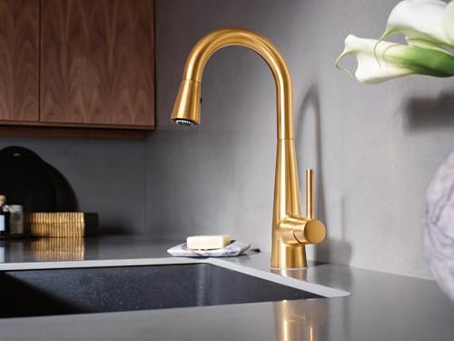 Open Box - Moen 7664BG - Bar Faucet