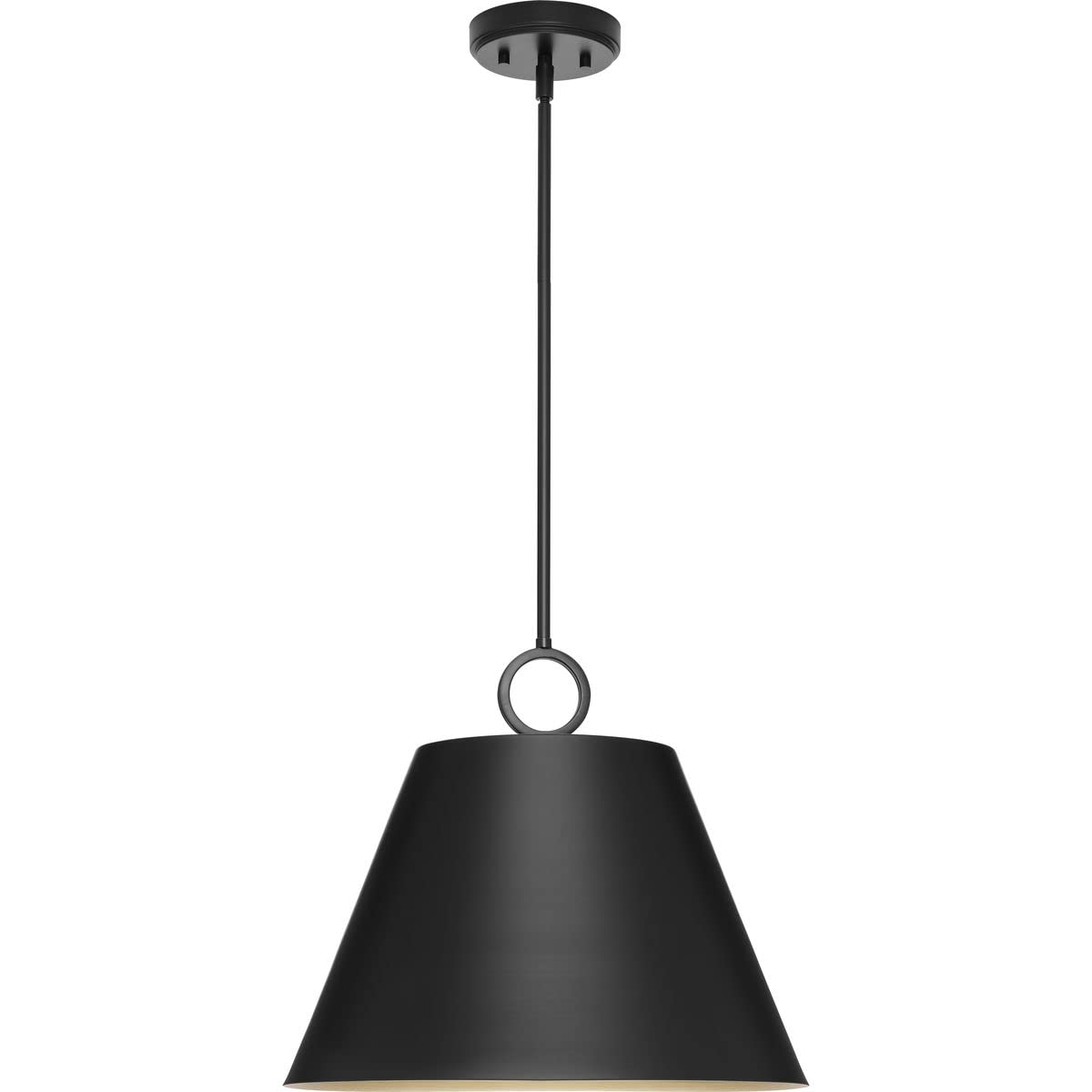 Open Box - Progress Lighting P500368-31M - Pendants Indoor Lighting