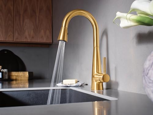 Open Box - Moen 7664BG - Bar Faucet