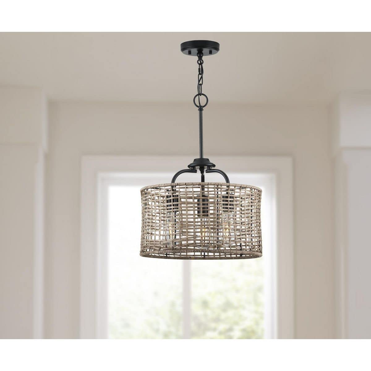 Open Box - Progress Lighting P350183-031 - Ceiling Fixtures Indoor Lighting