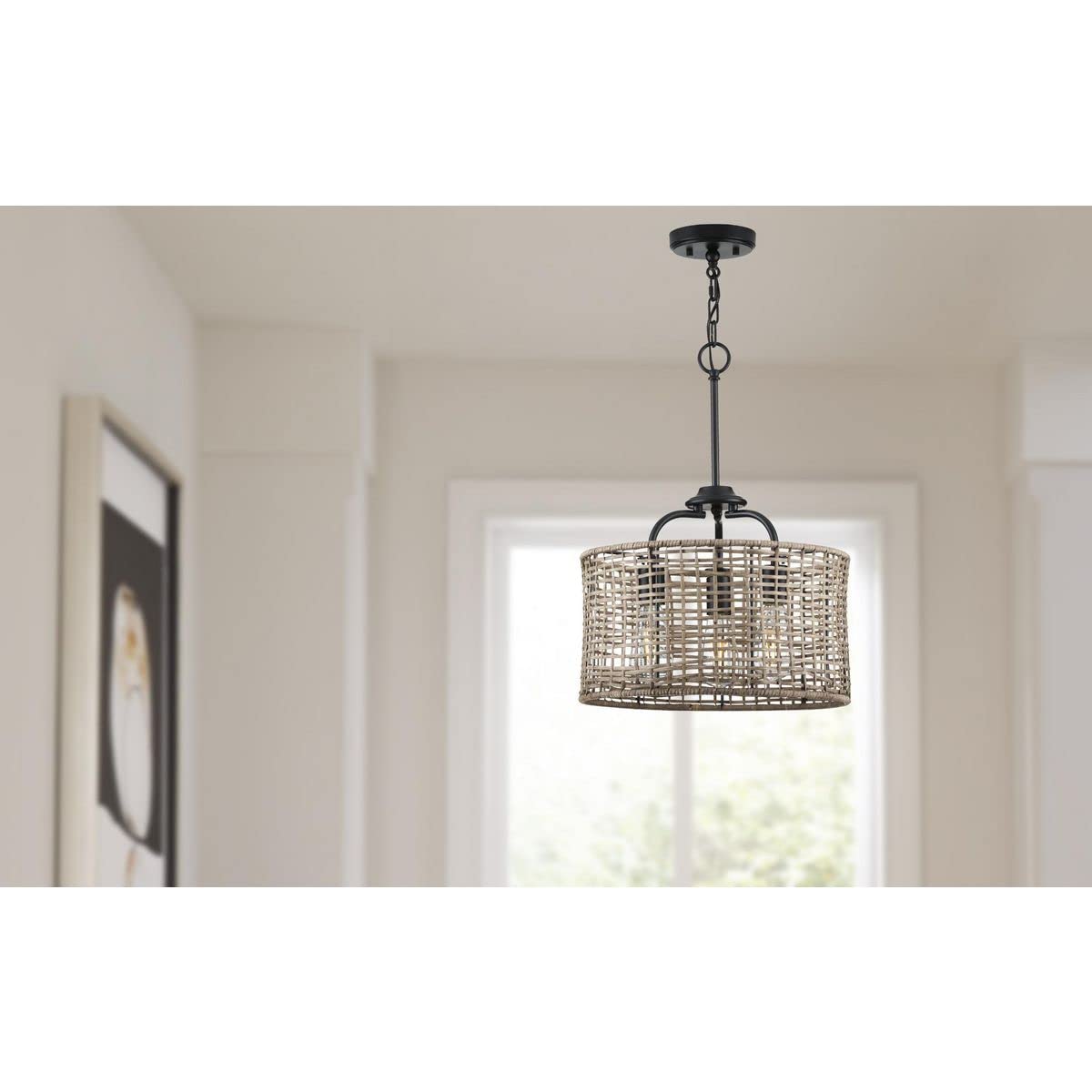 Open Box - Progress Lighting P350183-031 - Ceiling Fixtures Indoor Lighting
