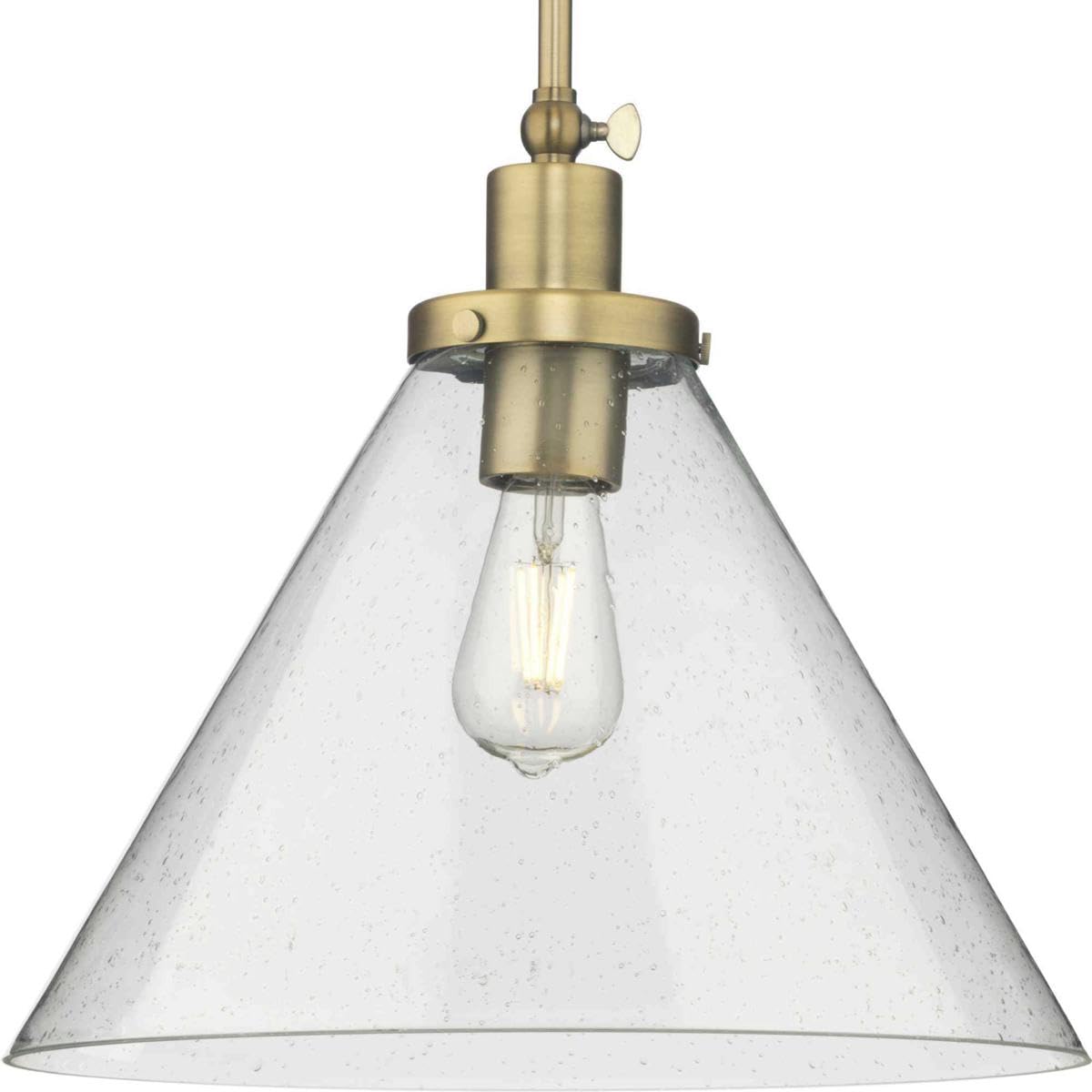 Open Box - Progress Lighting P500384-163 - Pendants Indoor Lighting