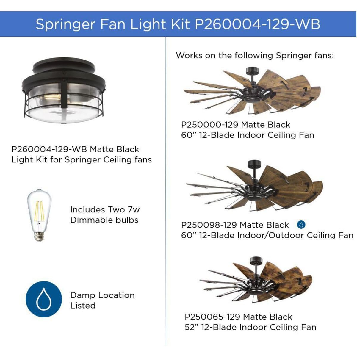 Open Box - Progress Lighting P260004-129-WB - Ceiling Fixtures Indoor Lighting