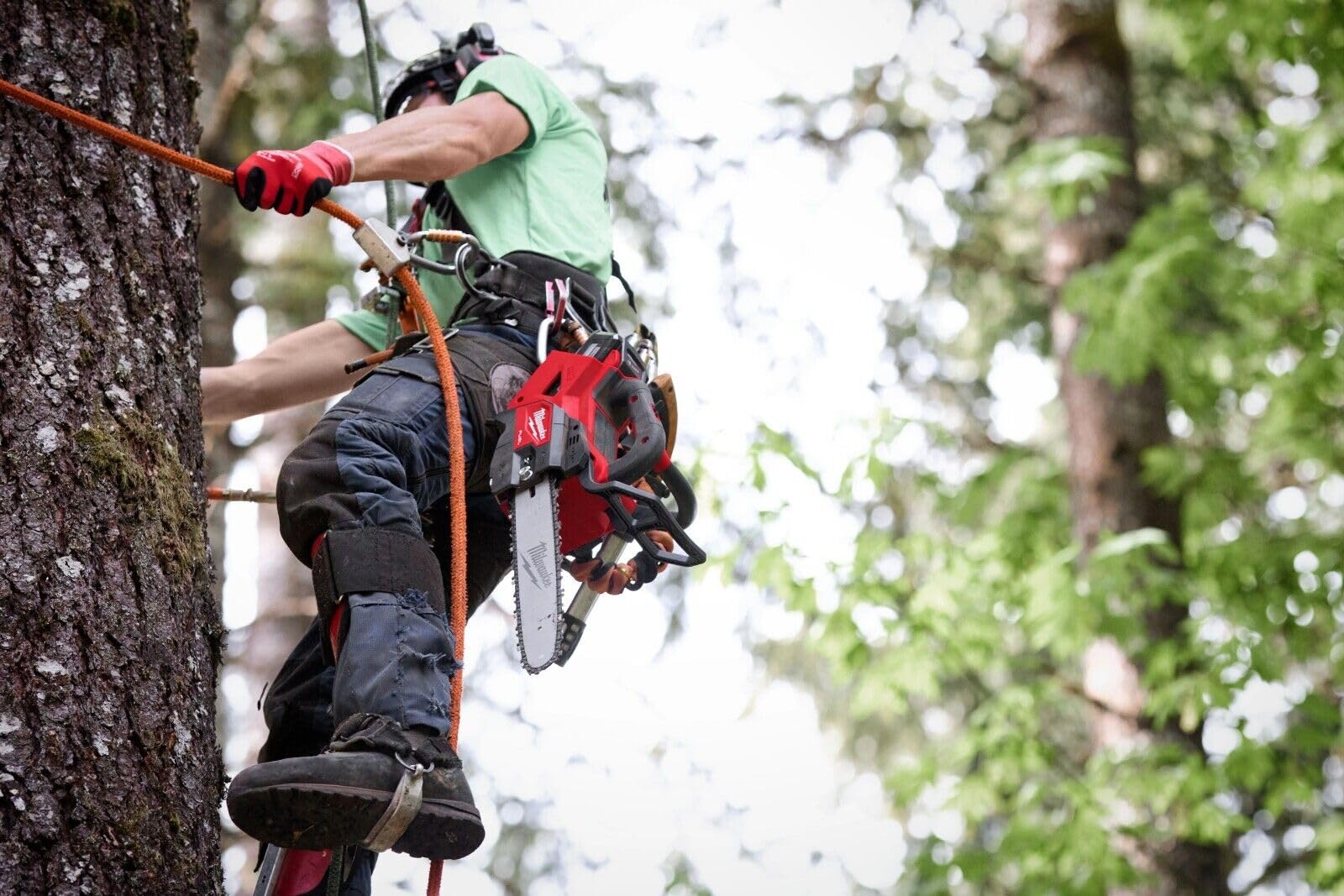 Open Box -  Milwaukee MWK2826-20T 14 in. M18 FUEL Top Handle Chainsaw Bare Tool MilwaukeeBullseye Deals