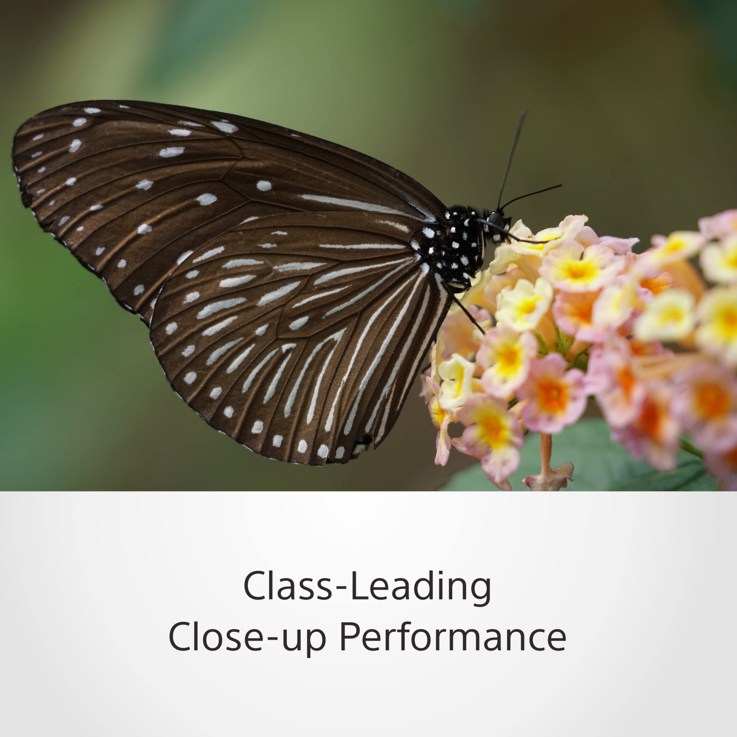 Certified Refurbished - Sony Full-frame E-mount FE 70-300mm F4.5-5.6 G OSS Telephoto Zoom Lens SEL70300G SonyBullseye Deals