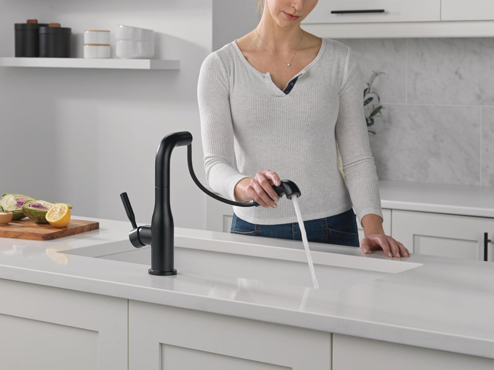 Open Box - Delta 16943-BL-DST - Kitchen Faucet