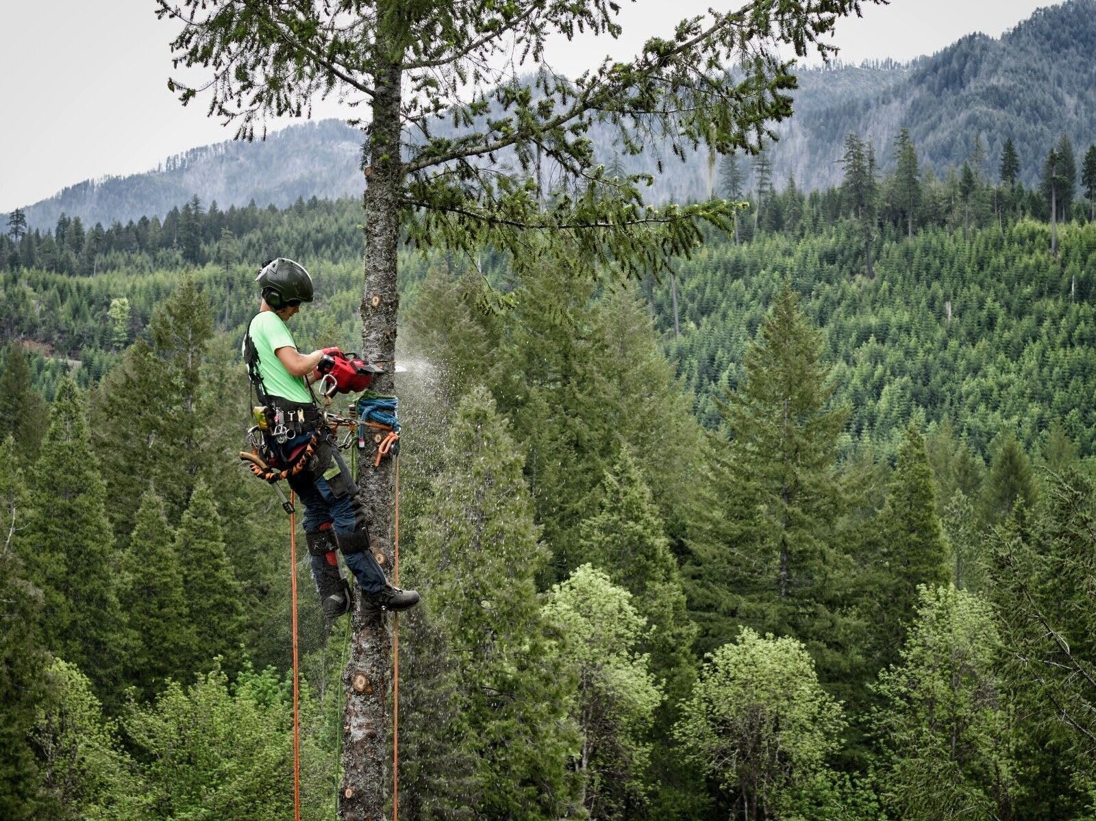 Open Box -  Milwaukee MWK2826-20T 14 in. M18 FUEL Top Handle Chainsaw Bare Tool MilwaukeeBullseye Deals