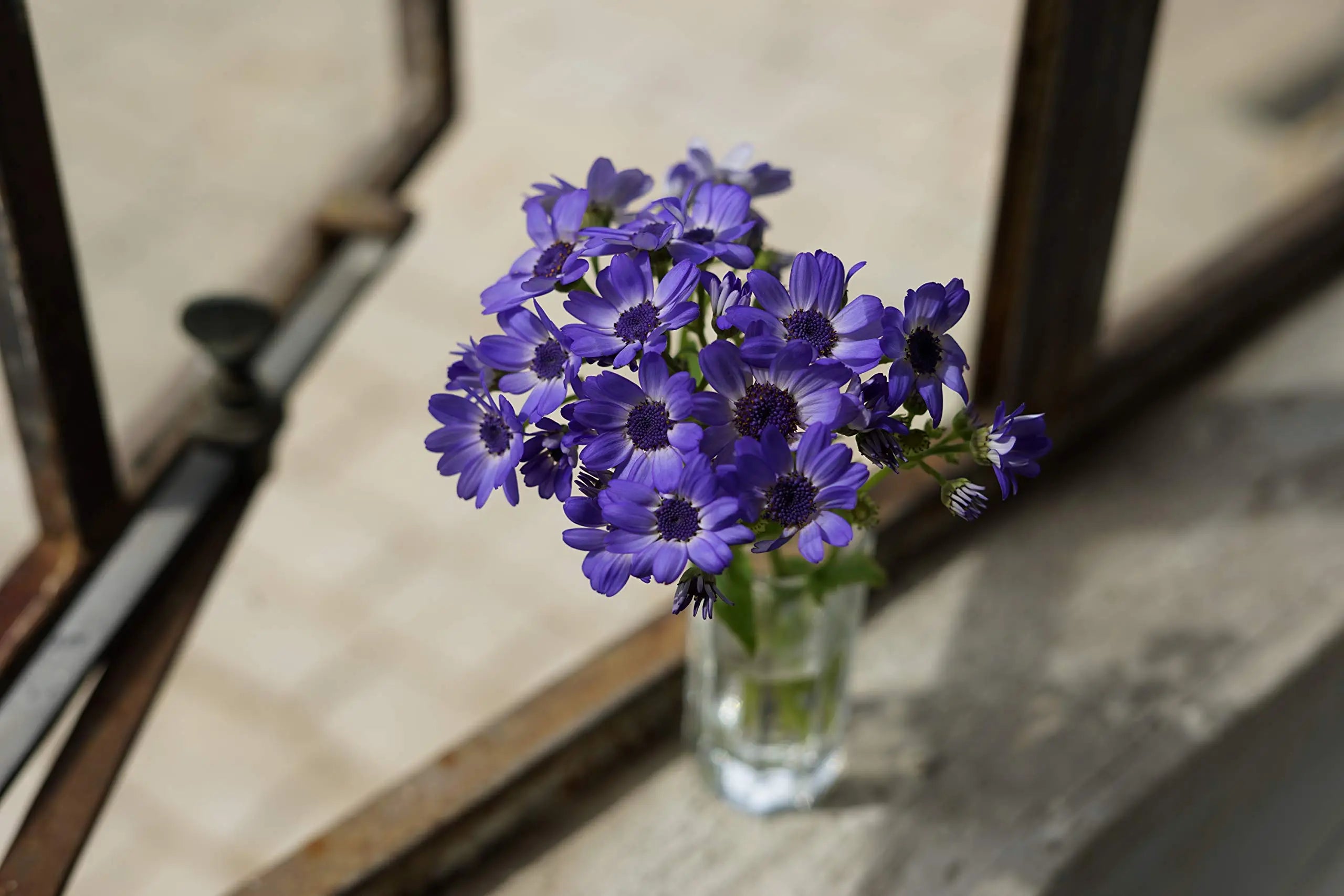 Certified Refurbished - Sony - FE 50mm f/1.8 Standard Prime Lens for E-mount Cameras SonyBullseye Deals