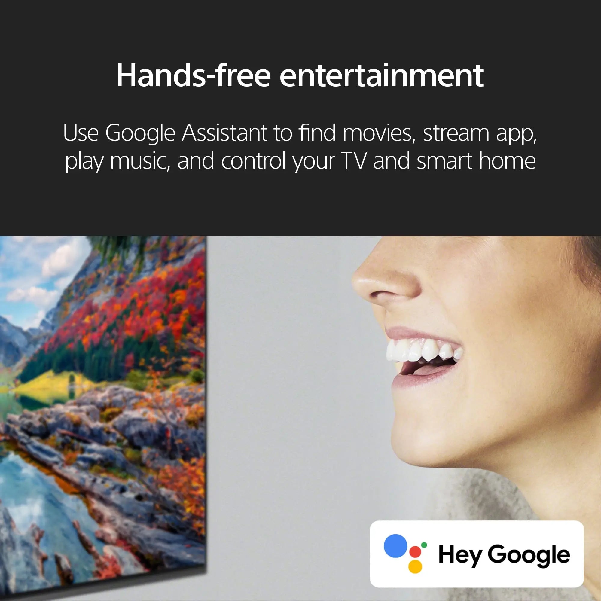 Certified Refurbished - Sony OLED 65 inch BRAVIA XR A80L Series 4K Ultra HD TV: Smart Google TV SonyBullseye Deals