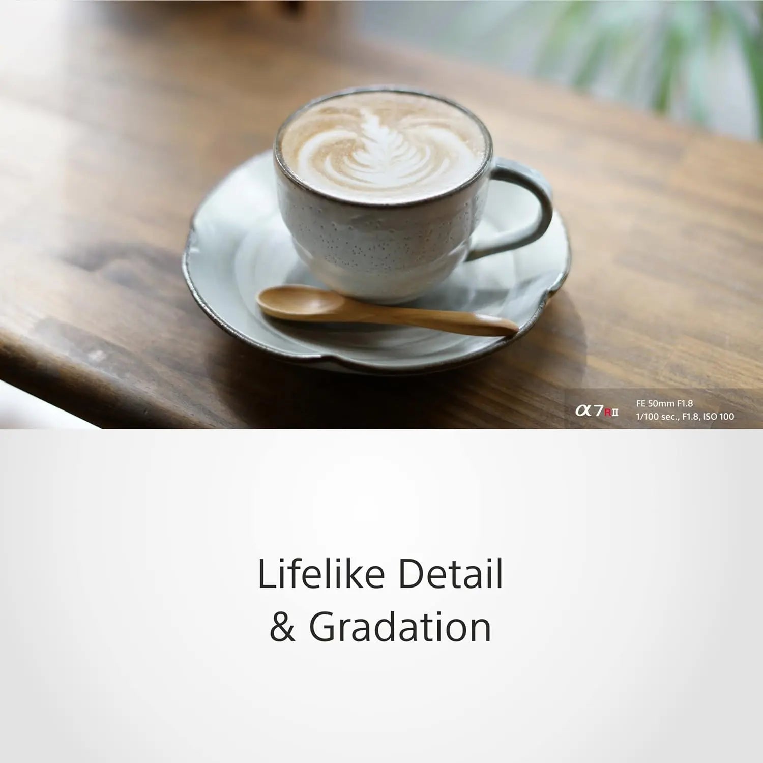 Certified Refurbished - Sony SEL50F18 50mm f/1.8 Lens for Sony E Mount Nex Cameras (Black) - Fixed SonyBullseye Deals