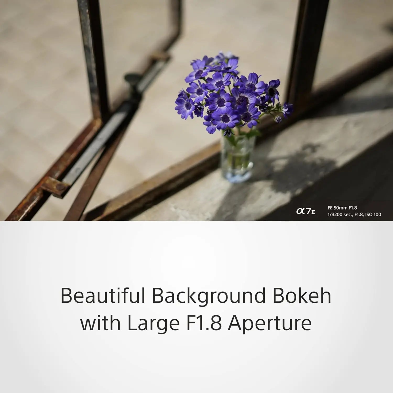 Certified Refurbished - Sony SEL50F18 50mm f/1.8 Lens for Sony E Mount Nex Cameras (Black) - Fixed SonyBullseye Deals