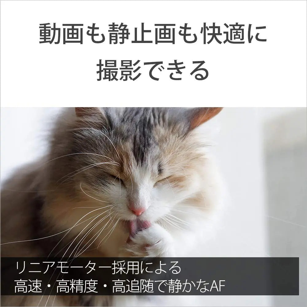 Certified Refurbished - Sony SEL55F18Z Sonnar T* FE 55mm F1.8 ZA Full-frame E-mount Prime Zeiss Lens SonyBullseye Deals