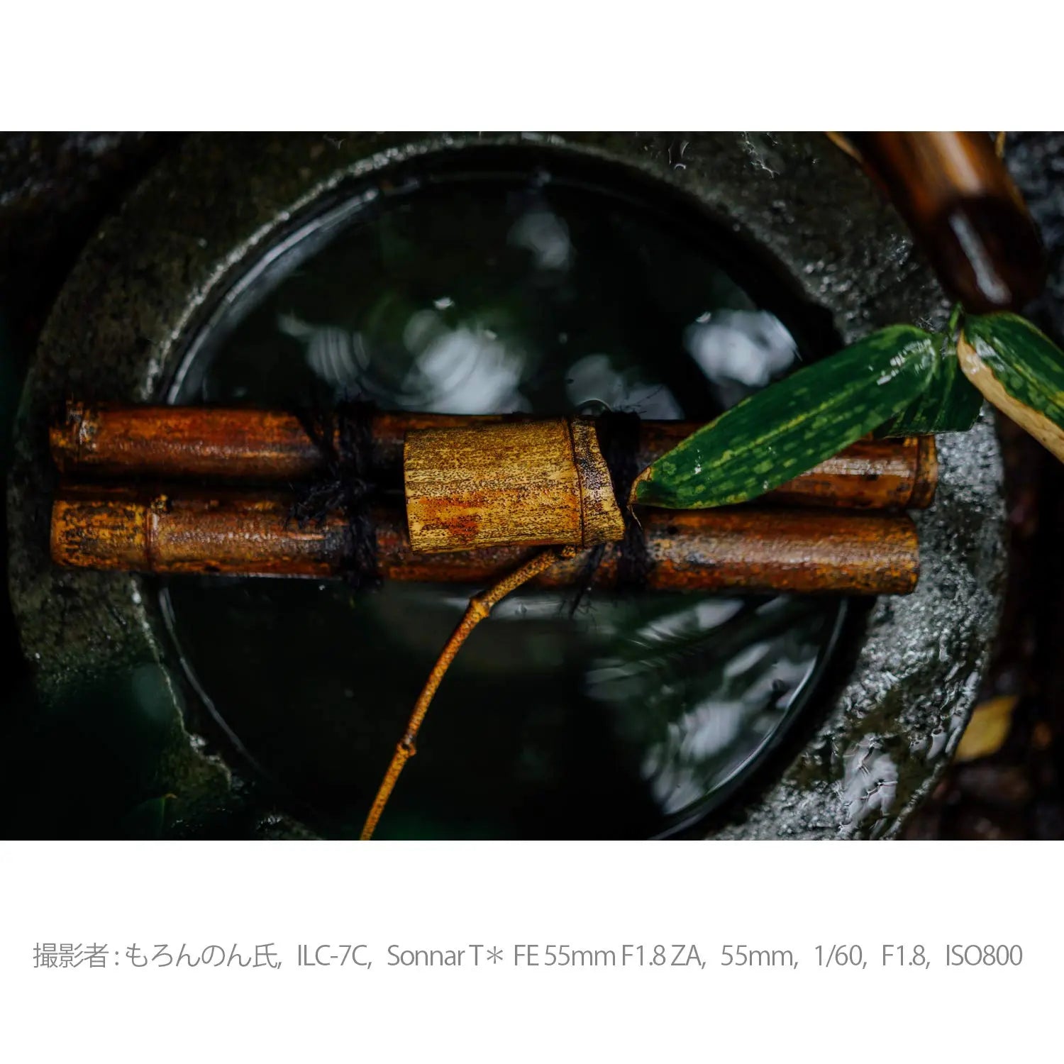 Certified Refurbished - Sony SEL55F18Z Sonnar T* FE 55mm F1.8 ZA Full-frame E-mount Prime Zeiss Lens SonyBullseye Deals