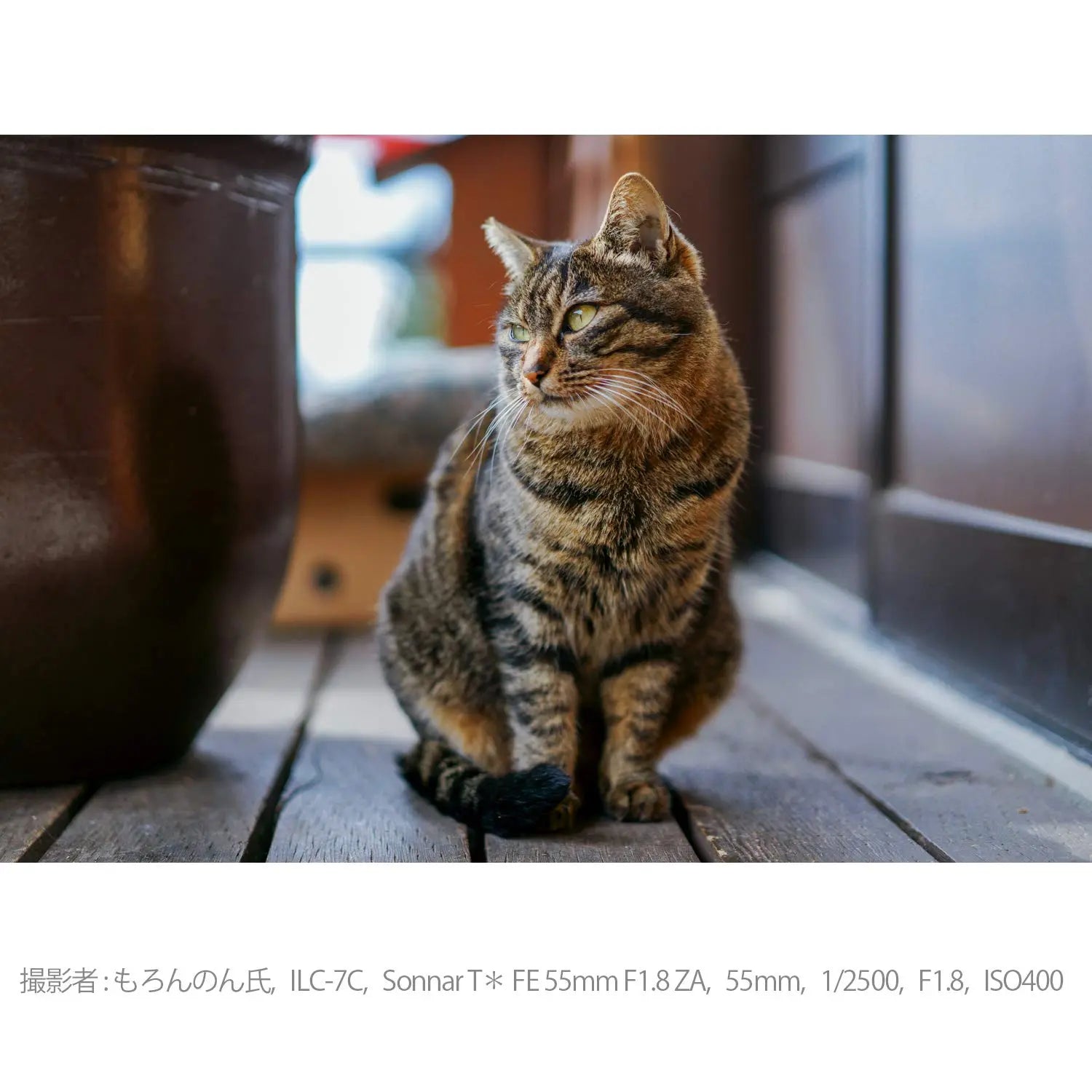 Certified Refurbished - Sony SEL55F18Z Sonnar T* FE 55mm F1.8 ZA Full-frame E-mount Prime Zeiss Lens SonyBullseye Deals