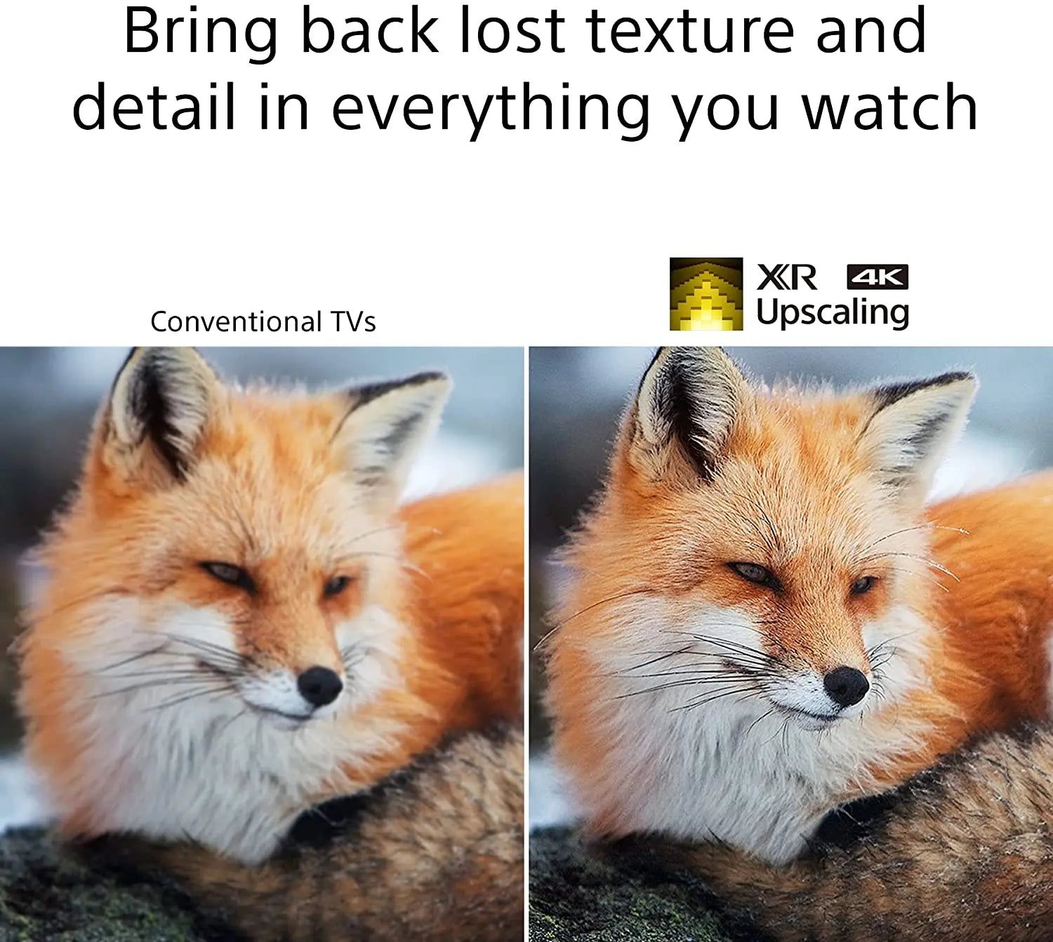 Certified Refurbished - Sony XR55A80J 55