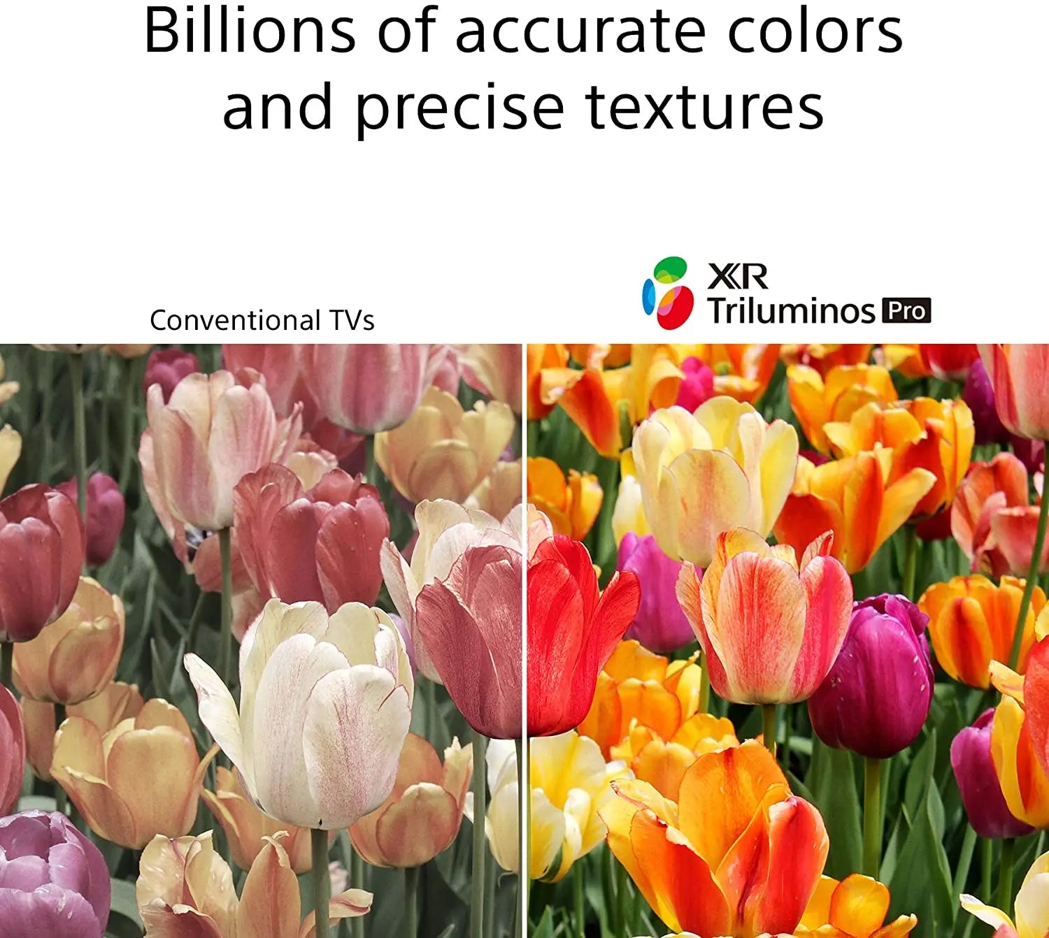 Certified Refurbished - Sony XR65X95J BRAVIA XR X95J 4K HDR Full Array LED with Smart Google TV - Secondipity