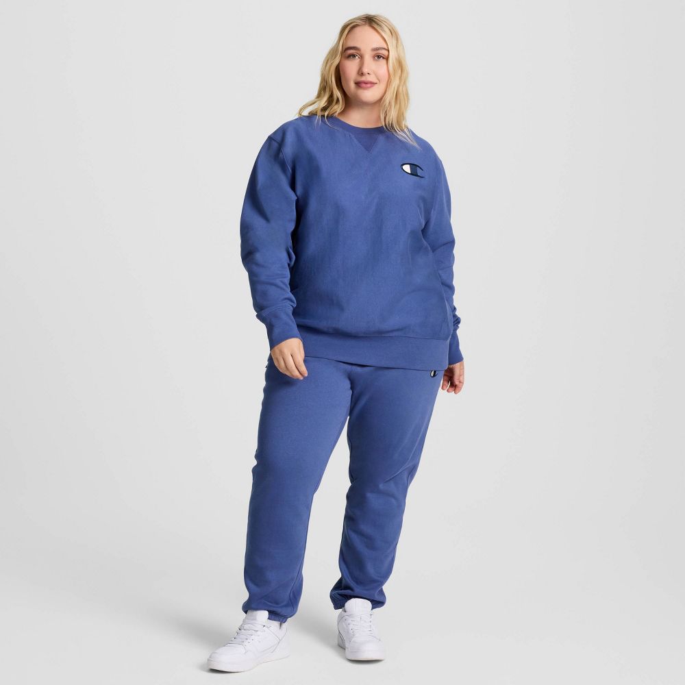New - Champion Adult Sizing Iconic Embroidered Crewneck Sweatshirt - Gray Blue S