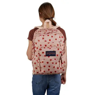 JanSport Big Student School Backpack for 15