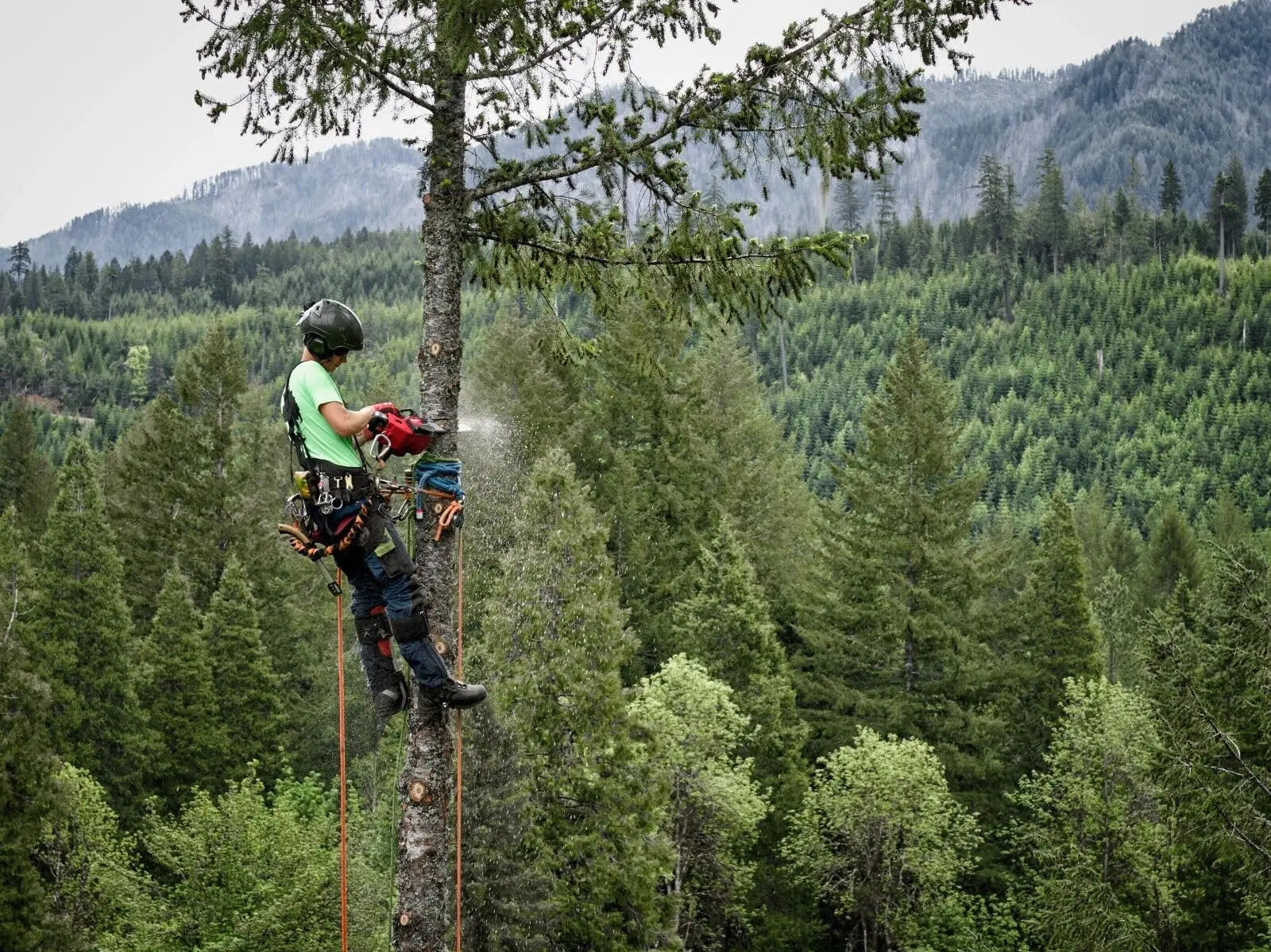 Open Box -  MWK2826-20T 14 in. M18 FUEL Top Handle Chainsaw Bare Tool Milwaukee Electric ToolBullseye Deals