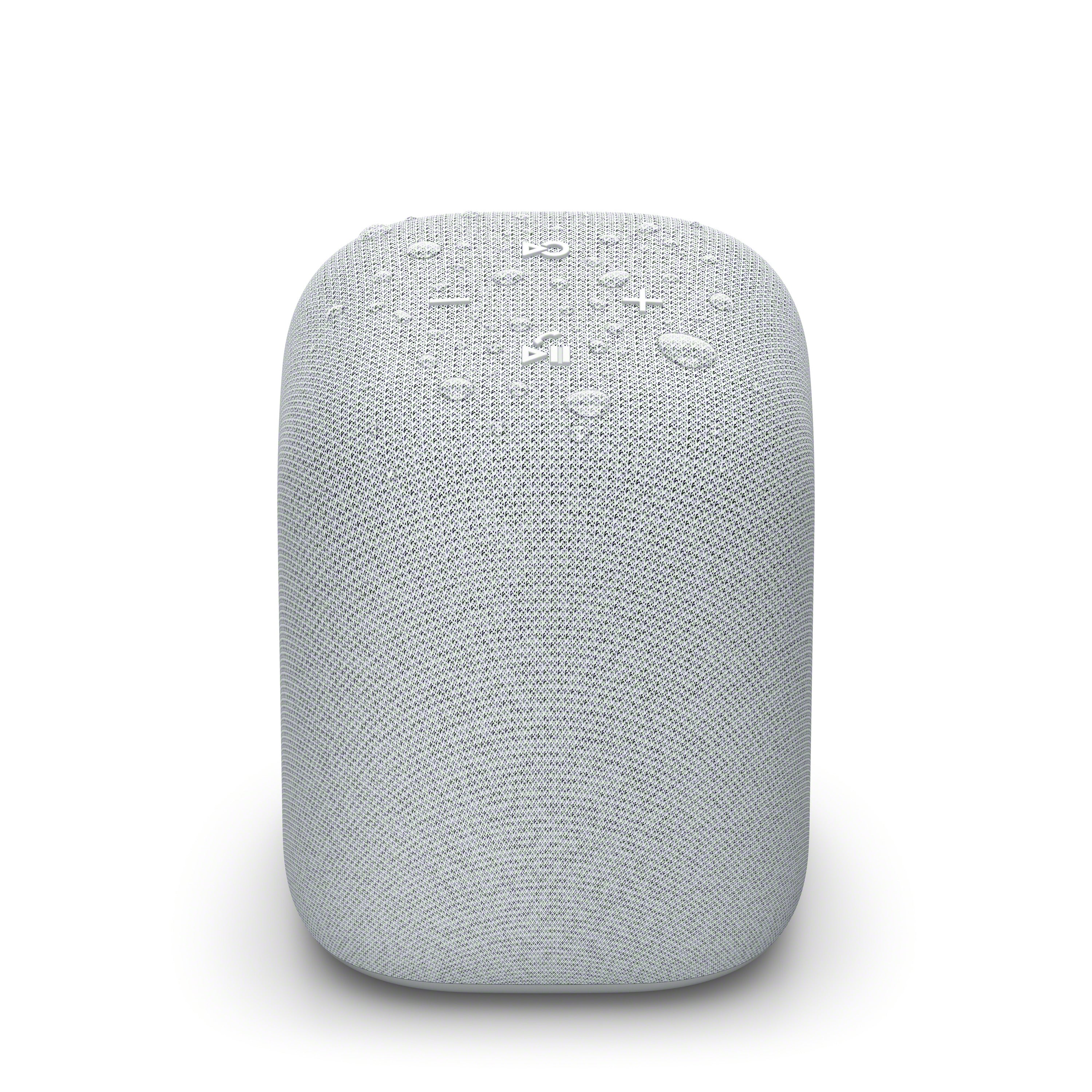Certified Refurbished - SONY SRSLS1/H Personal Audio