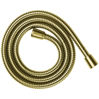 Open Box - Axor 28116250 - Shower Components Bath and Shower Accessories