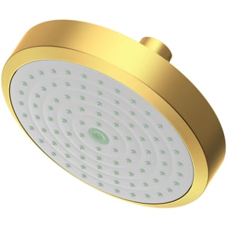 Open Box - Newport Brass 2141/10 6" 2.0 gpm Single Function Solid Brass Shower Head
