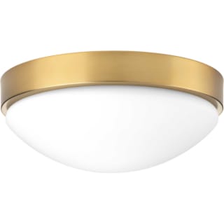 Open Box - Progress Lighting P350105-109-30 - Ceiling Fixtures Indoor Lighting