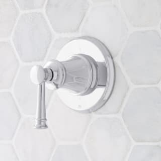 Open Box - Signature Hardware 449731 - Diverter Trims Showers