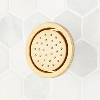Open Box - Signature Hardware 476938 - Body Spray Showers