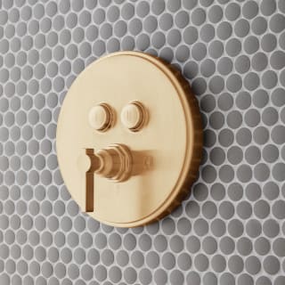 Open Box - Signature Hardware SHGF8040BG - Valve Trim Only Showers