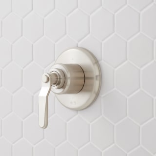 Open Box - Signature Hardware 477081 - Diverter Trims Showers