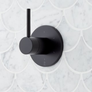 Open Box - Signature Hardware 483863 - Diverter Trims Showers