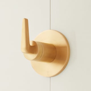 Open Box - Signature Hardware 485031 - Valve Trim Only Showers