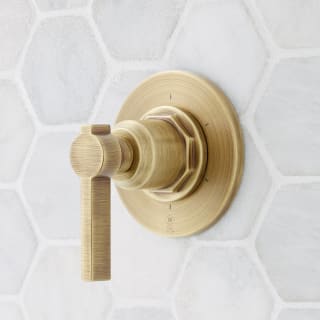 Open Box - Signature Hardware 485517 - Diverter Trims Showers