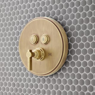 Open Box - Signature Hardware 485519 - Valve Trim Only Showers