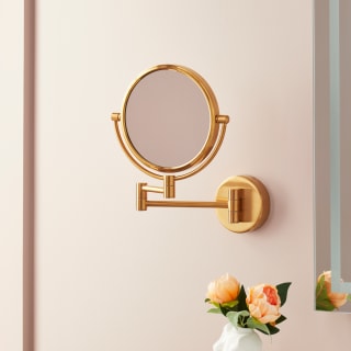 Open Box - Signature Hardware 485573 - Mirrors Home Decor