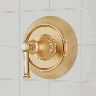 Open Box - Signature Hardware SHBE80102BG - Valve Trim Only Showers