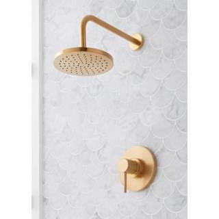 Open Box - Signature Hardware SHLE8020GPB - Shower Only Showers