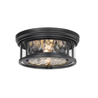 Open Box - Z-Lite 493F2-MB - Ceiling Fixtures Indoor Lighting